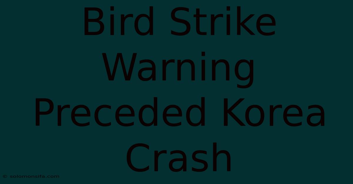 Bird Strike Warning Preceded Korea Crash