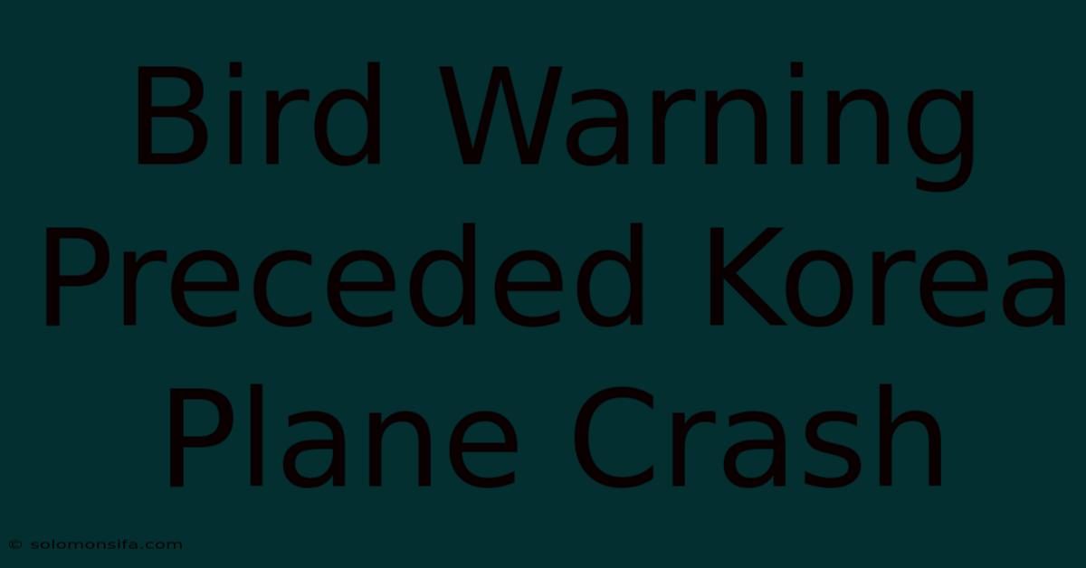 Bird Warning Preceded Korea Plane Crash