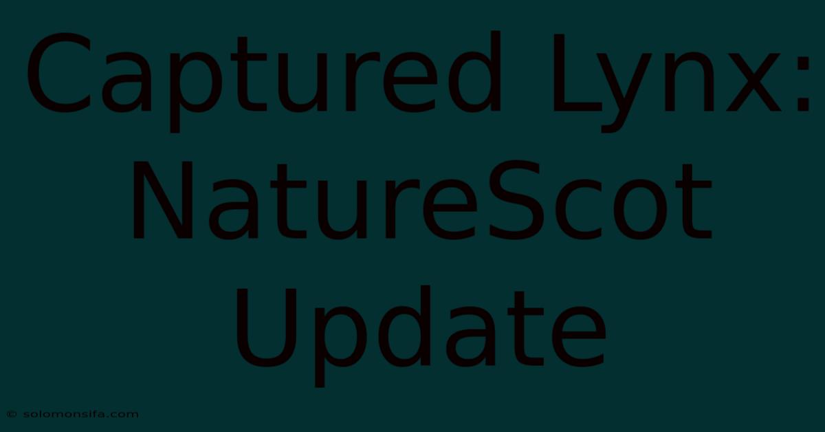 Captured Lynx: NatureScot Update