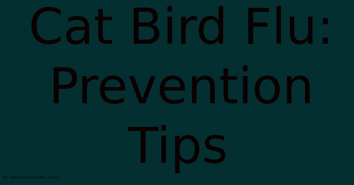 Cat Bird Flu: Prevention Tips