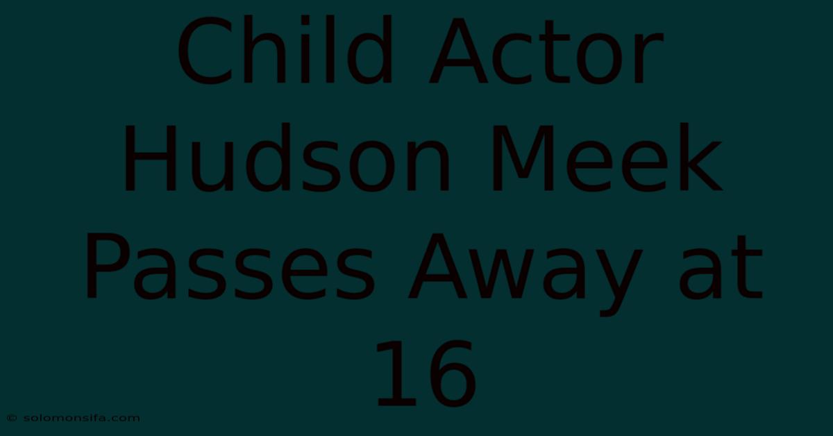 Child Actor Hudson Meek Passes Away At 16