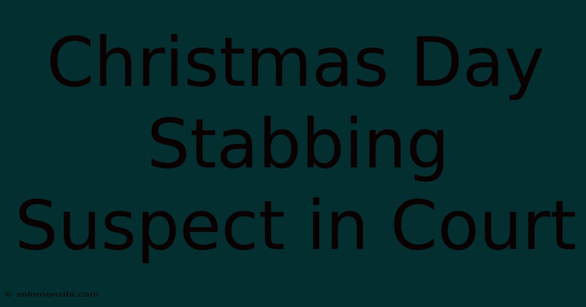 Christmas Day Stabbing Suspect In Court