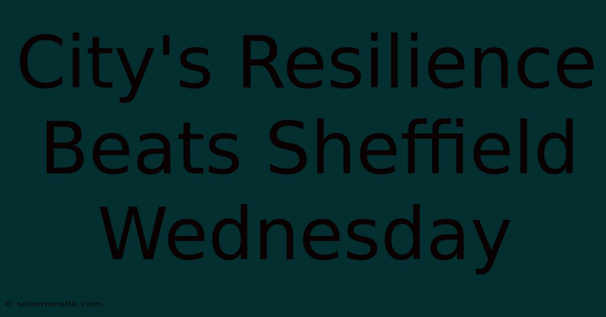 City's Resilience Beats Sheffield Wednesday