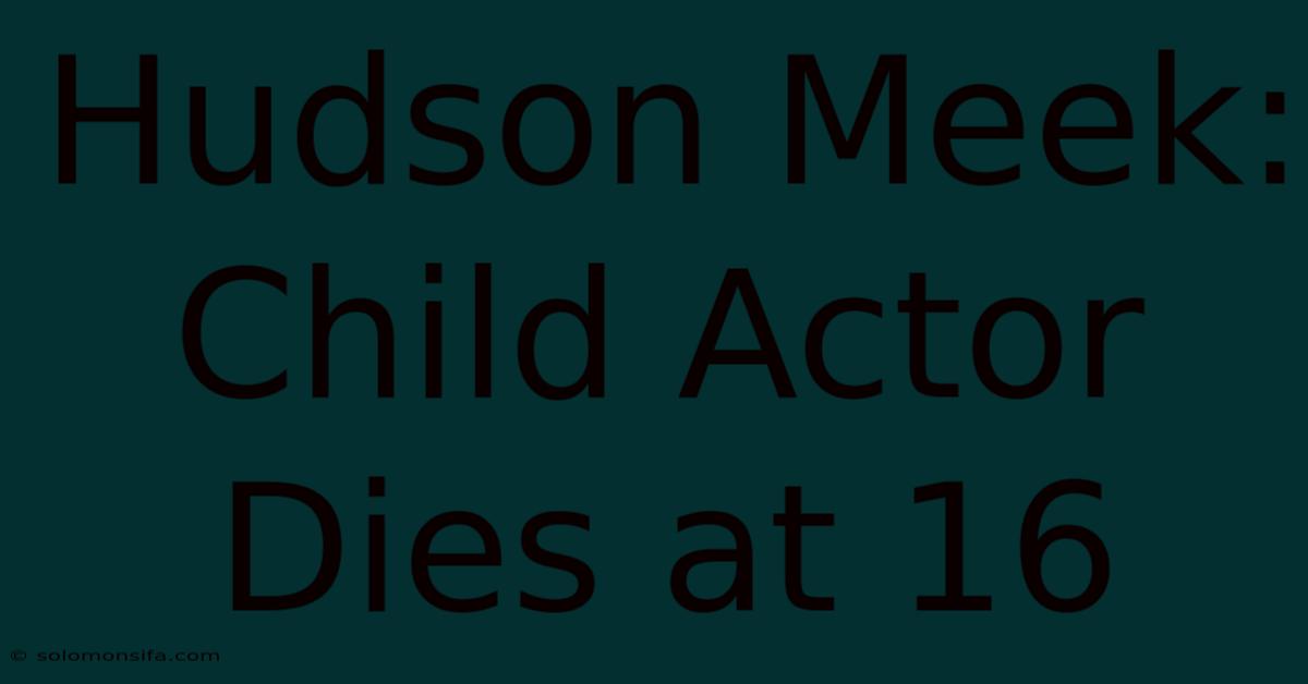 Hudson Meek: Child Actor Dies At 16