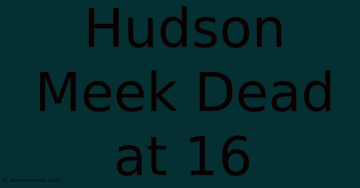 Hudson Meek Dead At 16