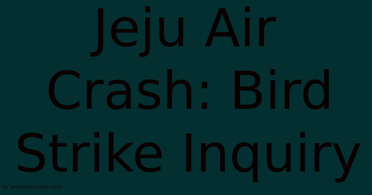 Jeju Air Crash: Bird Strike Inquiry