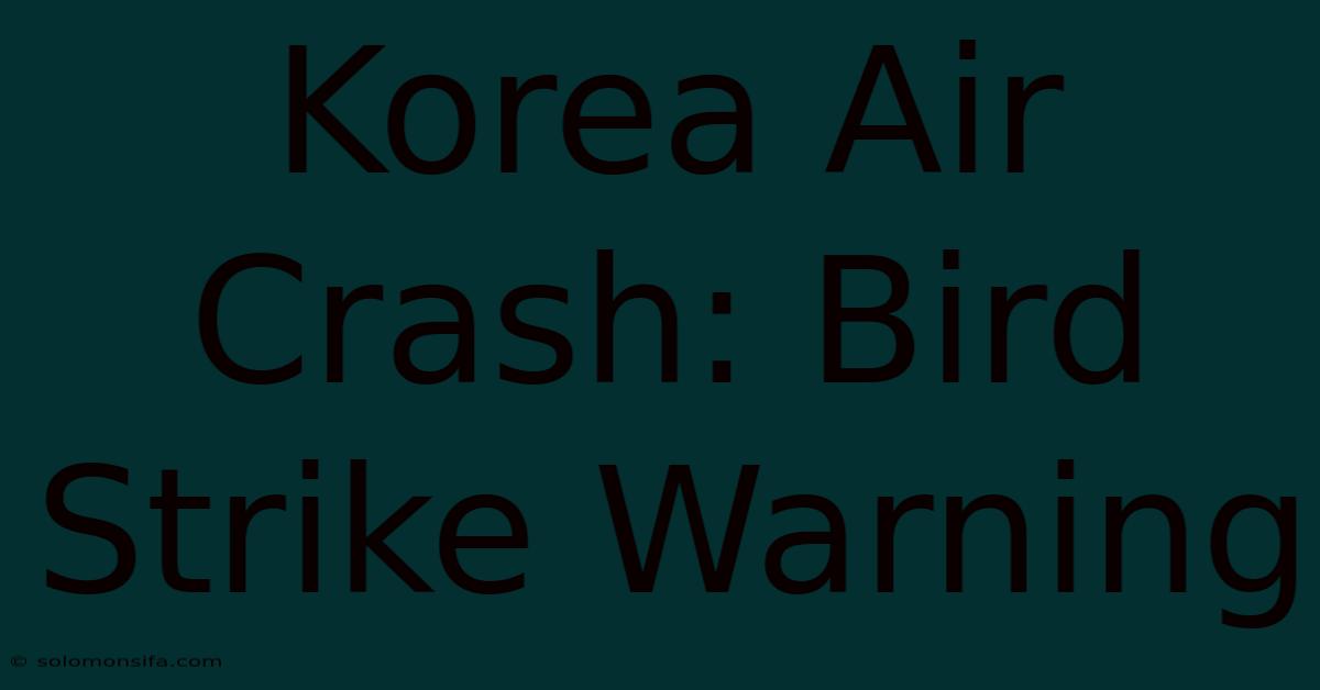 Korea Air Crash: Bird Strike Warning