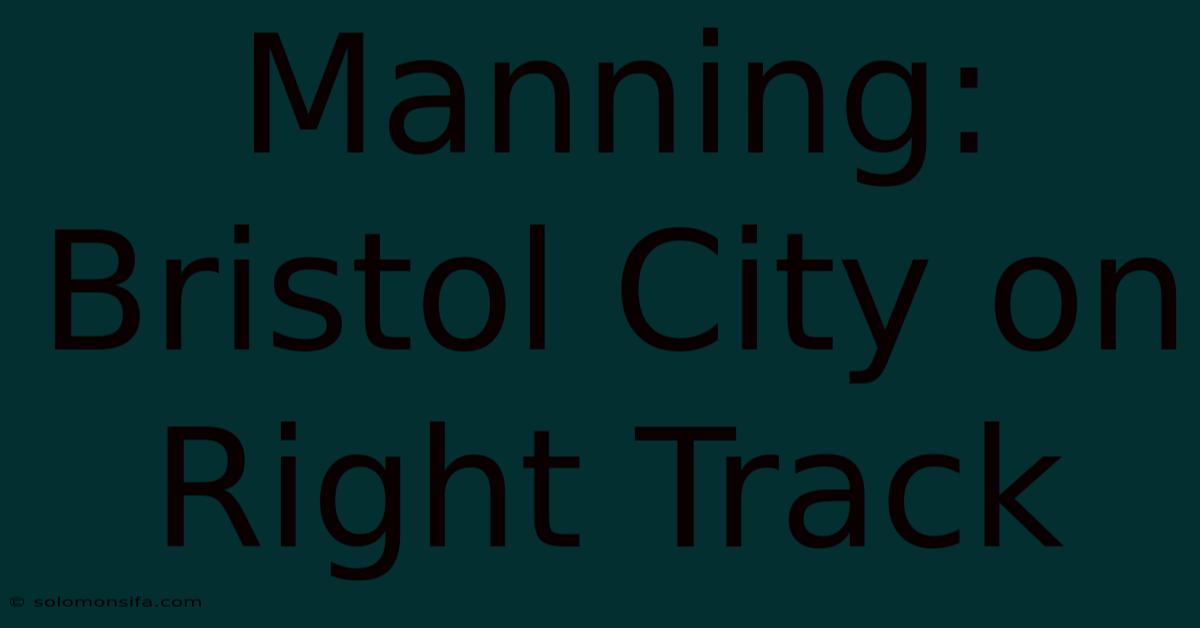 Manning: Bristol City On Right Track