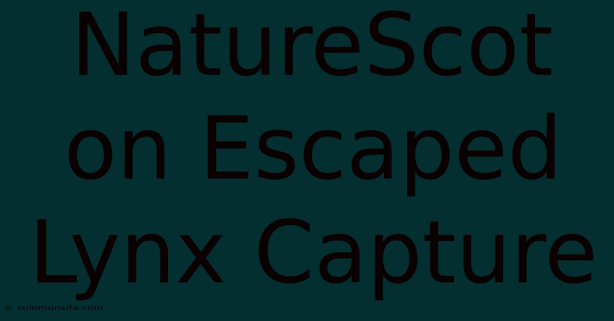 NatureScot On Escaped Lynx Capture