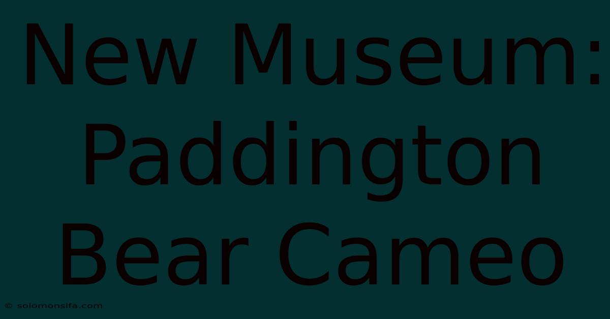 New Museum: Paddington Bear Cameo