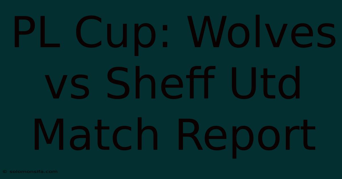 PL Cup: Wolves Vs Sheff Utd Match Report