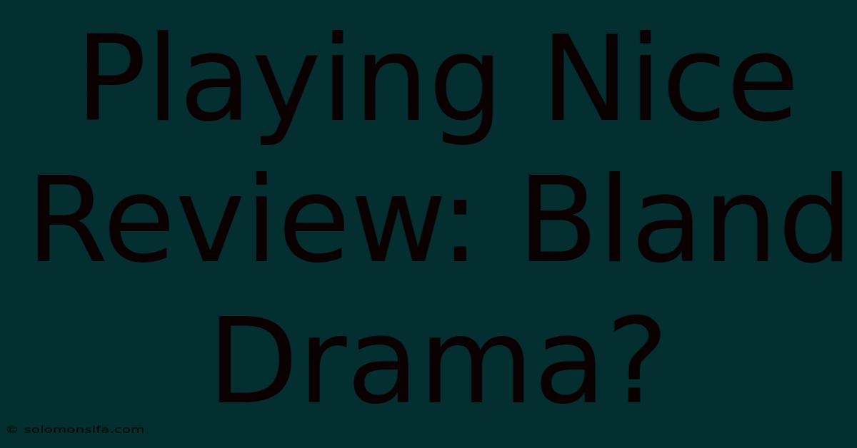 Playing Nice Review: Bland Drama?