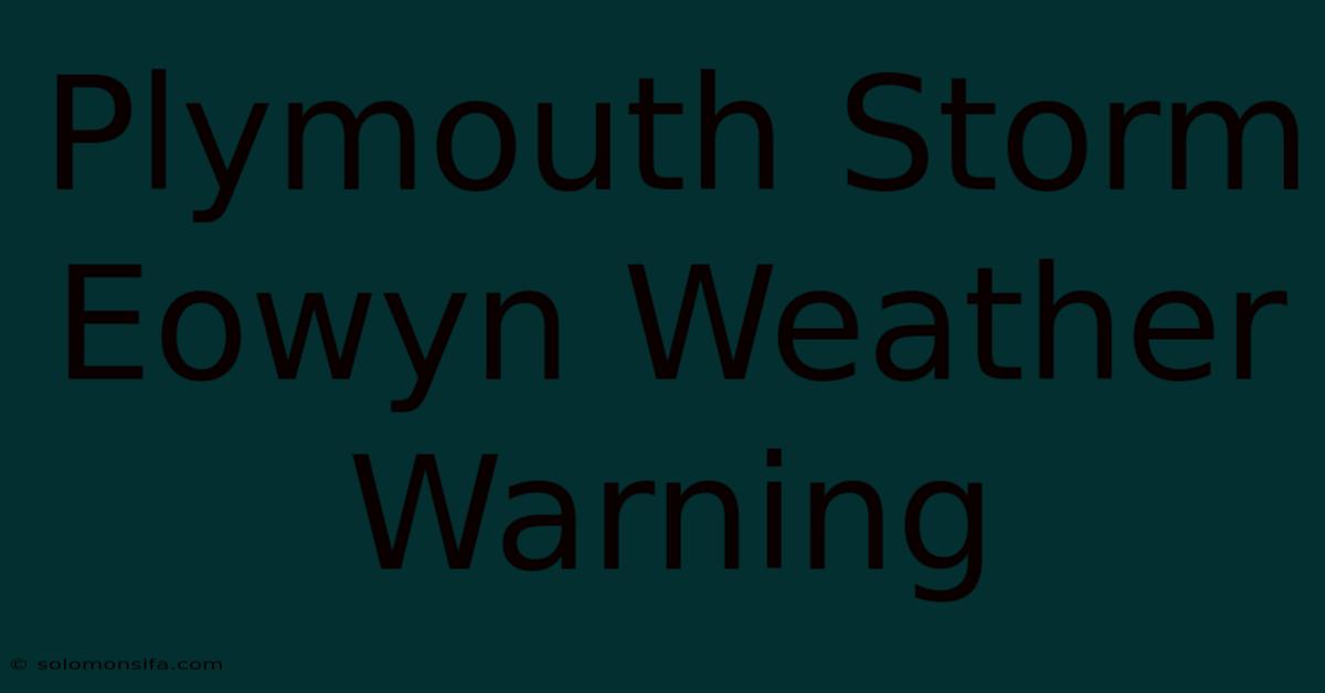 Plymouth Storm Eowyn Weather Warning