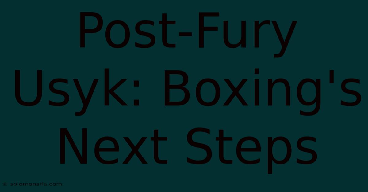 Post-Fury Usyk: Boxing's Next Steps