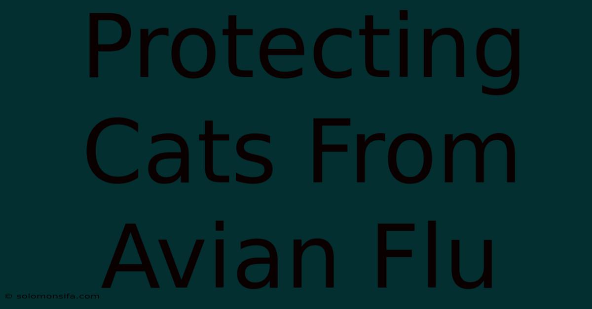 Protecting Cats From Avian Flu