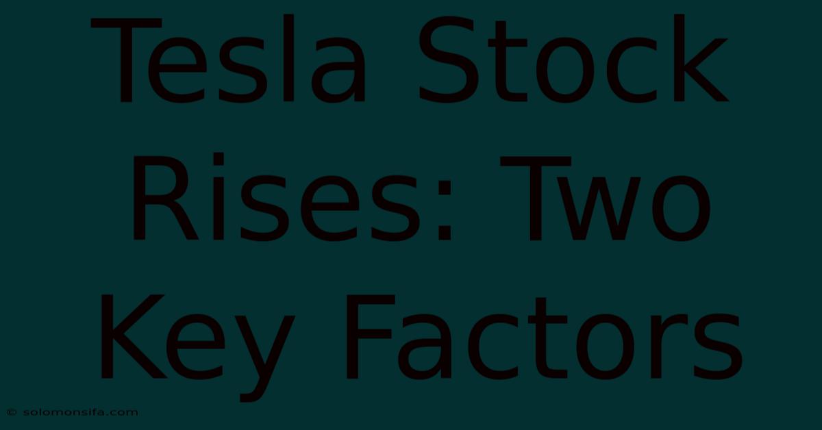 Tesla Stock Rises: Two Key Factors