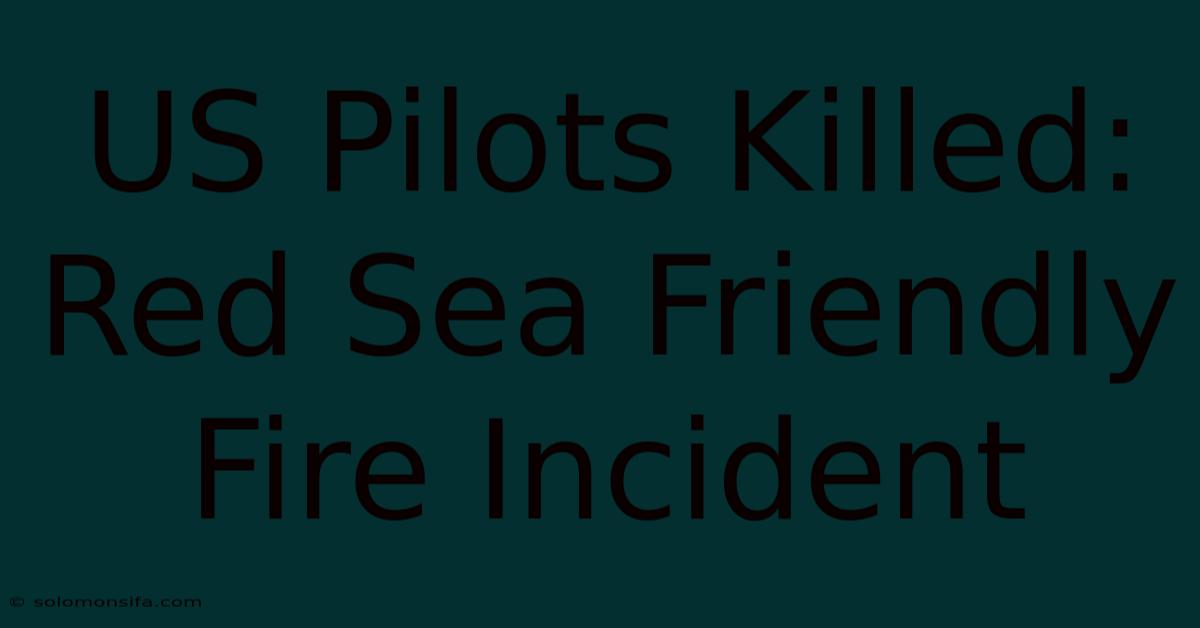 US Pilots Killed: Red Sea Friendly Fire Incident