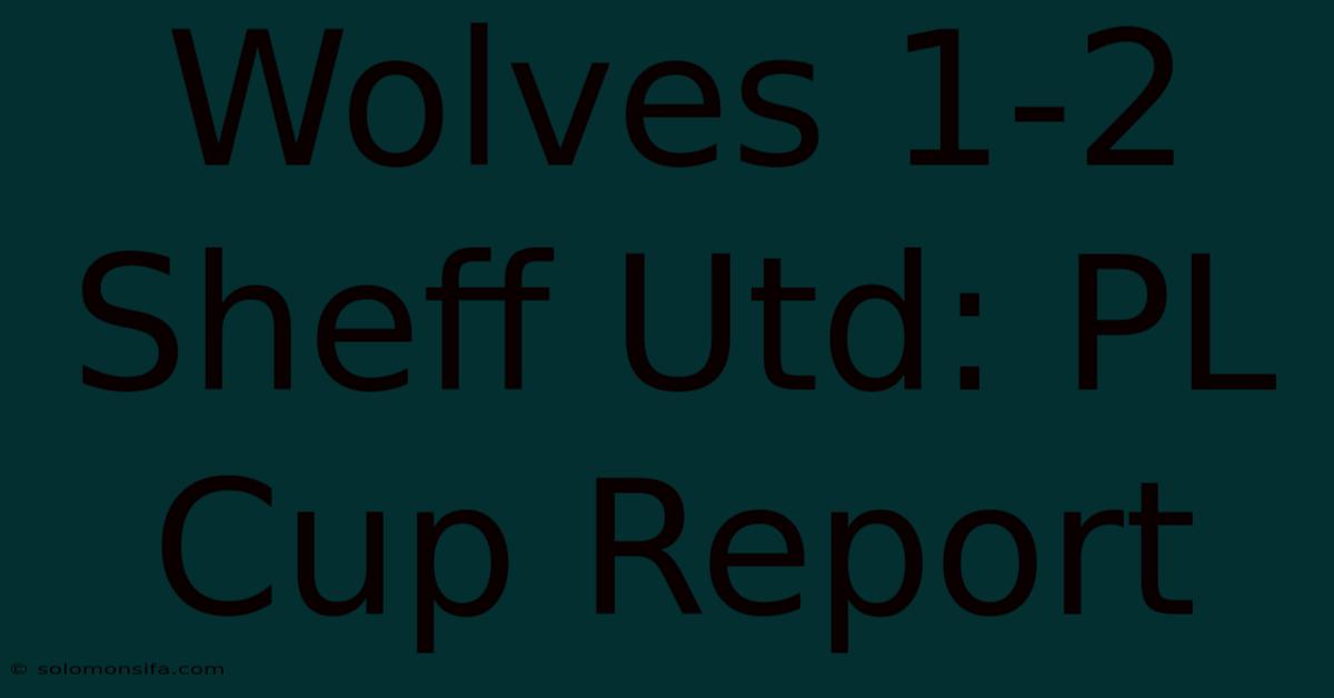 Wolves 1-2 Sheff Utd: PL Cup Report